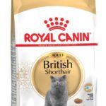 ROYAL CANIN British Shorthair FBN Adult - aliments secs pour chatons - 400g