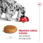 ROYAL CANIN Adult Medium - aliments secs pour chiens - 4kg