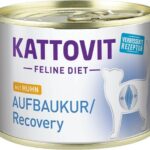 KATTOVIT Feline Diet Aufbaukur Recovery - nourriture humide pour chat - 185g