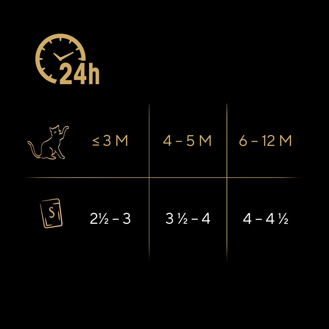 72B8a7n7W0t0s1R7o2w2E9e3P1P0g8m4