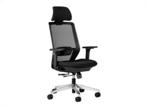 SPECTRUM fauteuil de bureau ergonomique noir