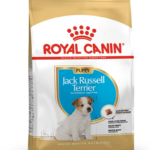 Royal Canin SHN Breed Jack Russell Junior - Aliments secs pour chiens Volaille, Riz - 3 kg