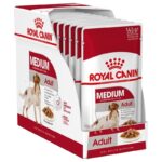 ROYAL CANIN SHN Medium Adult en sauce - nourriture humide pour chiens adultes - 10x140g