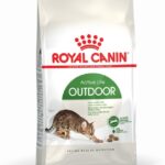 Royal Canin Active Life Outdoor croquette pour chat 4 kg Adulte Volaille