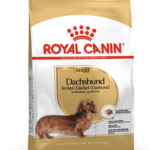 ROYAL CANIN Dachshund Adult - aliments secs pour chiens - 7,5 kg