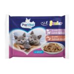 PREVITAL Nourriture pour Chat Junior Mélange Saveurs avec Agneau, Dinde, Saumon, Truite en Sauce – nourriture humide pour chat – 4 x 100 g