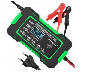 Tianye RJ-C 120501A Chargeur de batterie 12V, 6A
