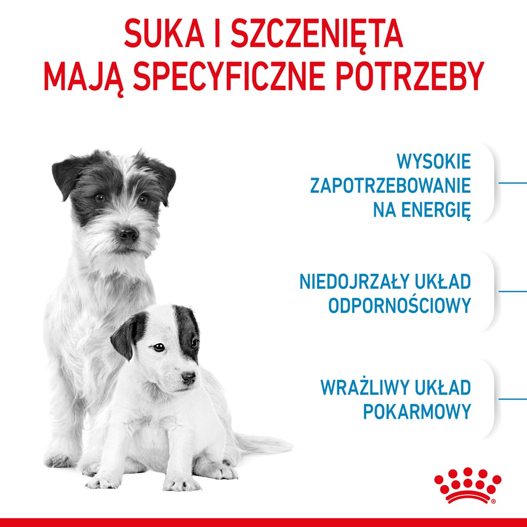 D3C7T0P950e0y1t7A3g2C1e9O976Y4T0