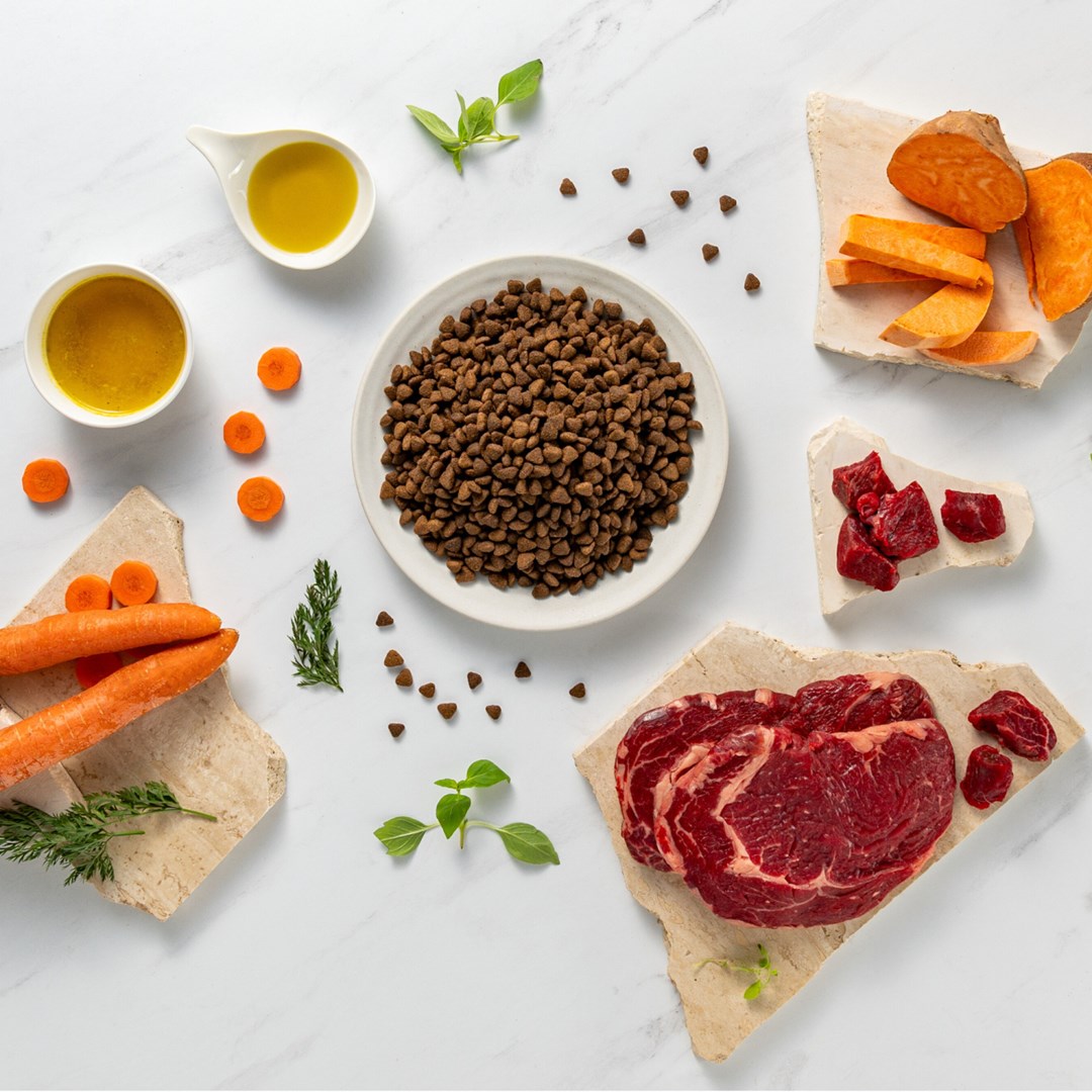 D4Q6T8c520j0q1z7R3a14903p6z4v7q4