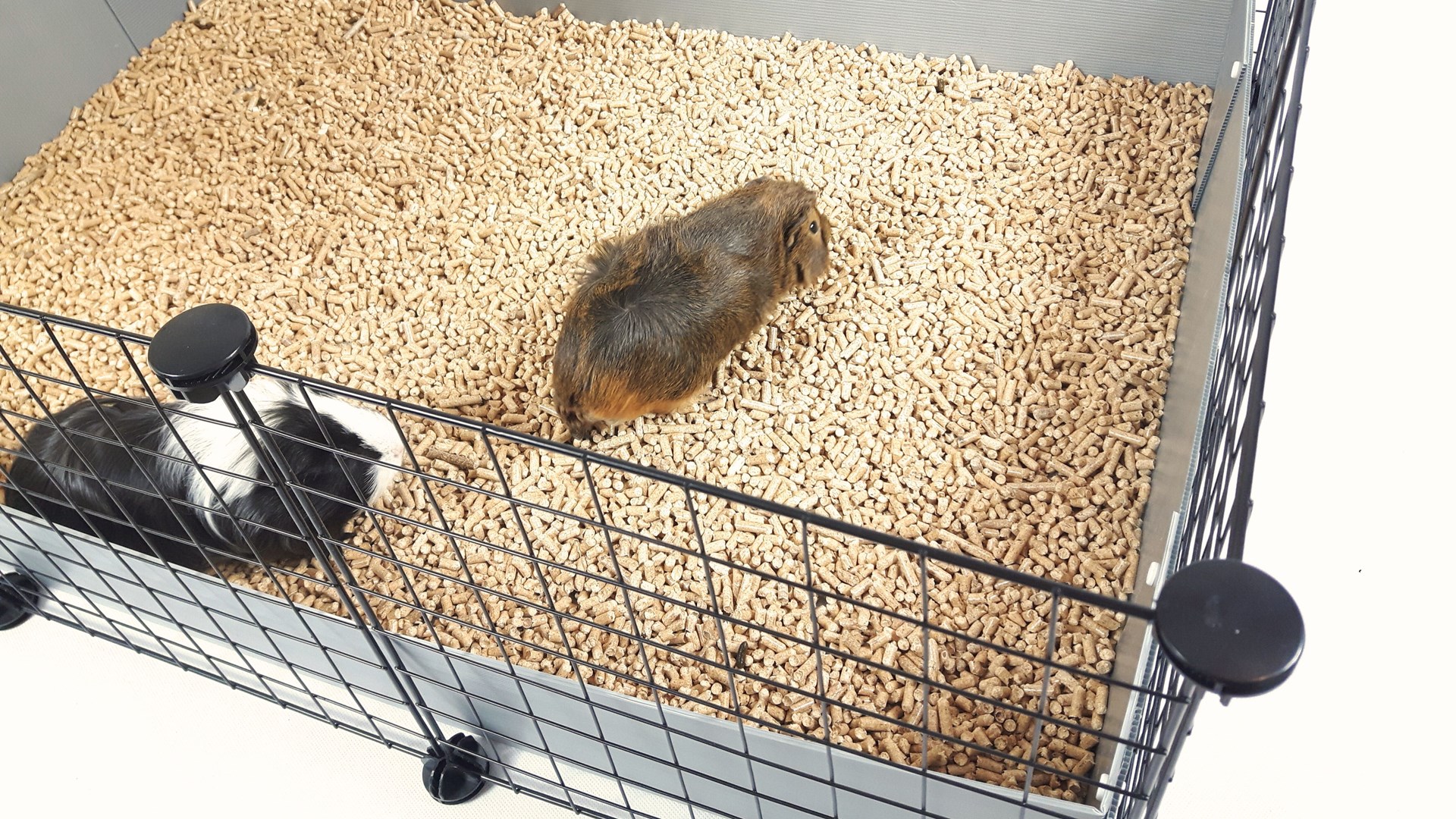 D8U6C3e7j0w0X1r7b4z0u545H6M6n6J6