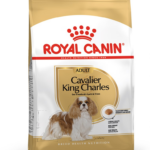 Alimentation Royal Canin SHN Breed Cavalier K C 1,5 kg