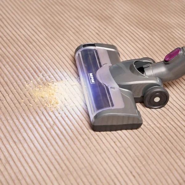 F266L0R9T0Y0y1I7w204s7z5I0w9d7w0