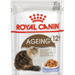 ROYAL CANIN FHN Ageing 12+ en gelée - nourriture humide pour chat - 12X85g