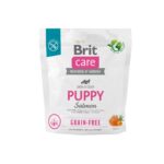 BRIT Care Puppy Salmon - aliments secs pour chiens - 1 kg