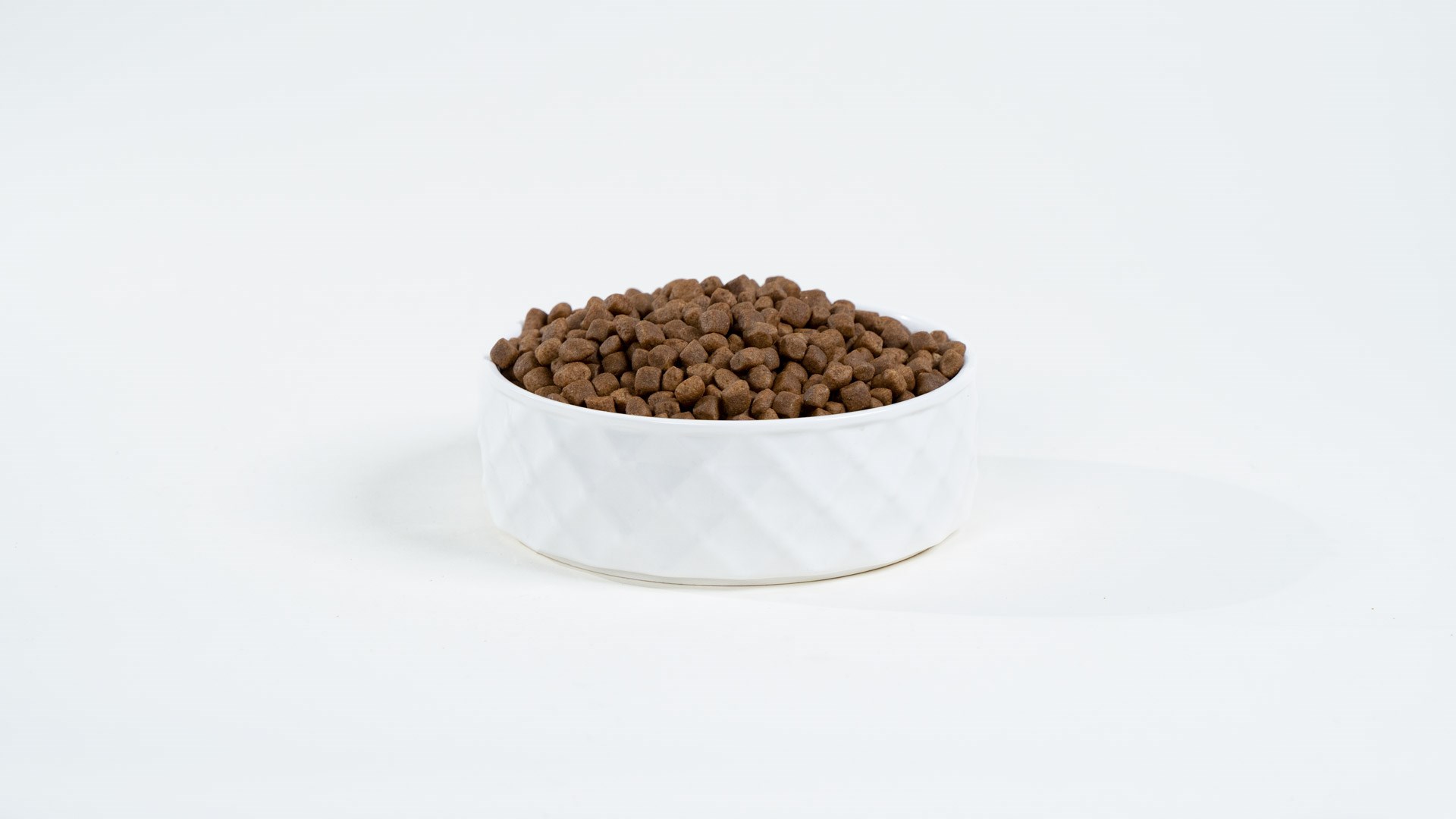 G3Z5N9h620v0j117R4P756Q3k4w3S8C6