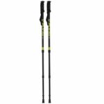 BÂTONS DE TREKKING VIKING STIG
