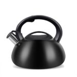 Bouilloire PROMIS TMC01BS AUGUSTO MATT 3 litres INDUCTION, GAZ
