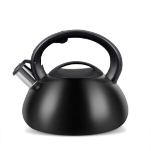 Bouilloire PROMIS TMC01BS AUGUSTO MATT 3 litres INDUCTION, GAZ