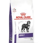 ROYAL CANIN Dog Neutered Adult Large VHN - aliments secs pour chiens - 13kg