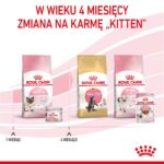 Royal Canin BABYCAT INSTINCTIVE - Croquettes pour chat - 195 g