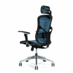 Siège de bureau ergonomique ERGO 500 bleu