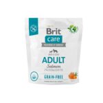 BRIT Care Dog Grain-free Adult Small & Medium Salmon - aliments secs pour chiens - 1 kg