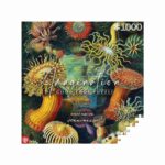 Casse-tête : Créatures marines d'Ernst Haeckel 1000 éléments