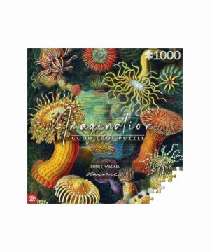 Casse-tête : Créatures marines d'Ernst Haeckel 1000 éléments