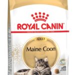 Royal Canin FBN Maine Coon Adult - aliments secs pour chats adultes - 4kg