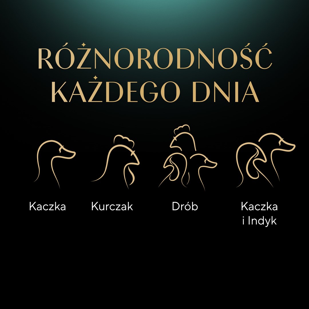 L623t3G2g0C0L1V712V0y1S0V0C4N8b4