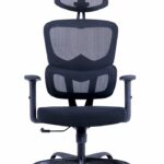 Tuckano Siège de bureau ergonomique T6 noir