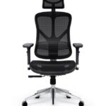 Fauteuil de jeu Diablo V-BASIC noir
