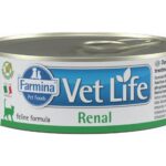 Farmina Vet Life Diet CAT Renal 85 g