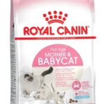 Royal Canin Mother & Babycat croquette pour chat 4 kg Adulte Volaille