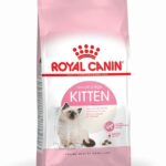 Royal Canin FHN Kitten - nourriture sèche pour chaton - 4kg