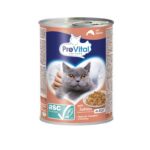 PREVITAL Nourriture pour chats avec saumon ASC en gelée - nourriture humide pour chats - 415g