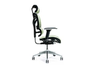 Siège de bureau ergonomique ERGO 600 vert