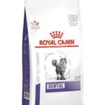 ROYAL CANIN Dental - nourriture sèche pour chats - 1,5kg