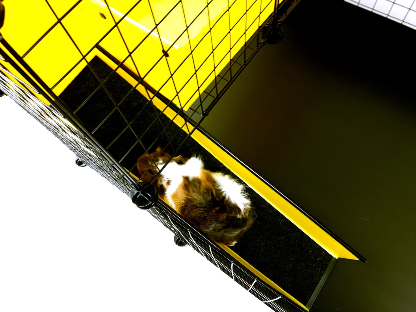 R2G6c8V970A0W1N794h0e5q5b6e676n7