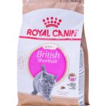 ROYAL CANIN British Shorthair Kitten - aliments secs pour chatons - 400g