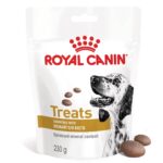 ROYAL CANIN Dog Urinary S/O Treats - friandise pour chien - 230g