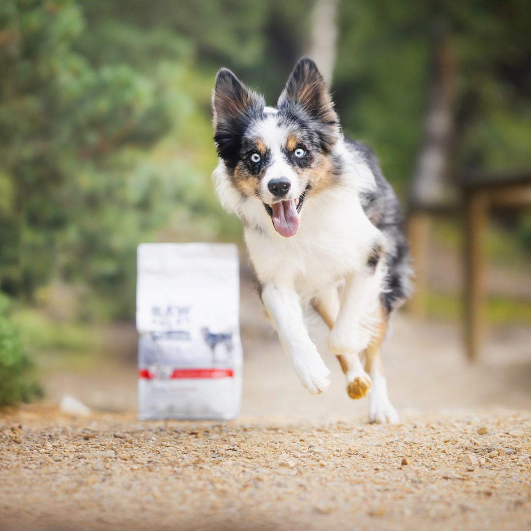 S4J3H7w900n0j1I7T3a1U9h3N6O4Q8Q9