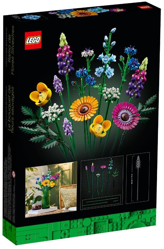 S5E1X427L0M0p1B6L7k519p3u4p0Q7S9