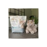 EDEN Poisson Blanc avec Caviar de Hareng - nourriture sèche pour chats - 1,5 kg