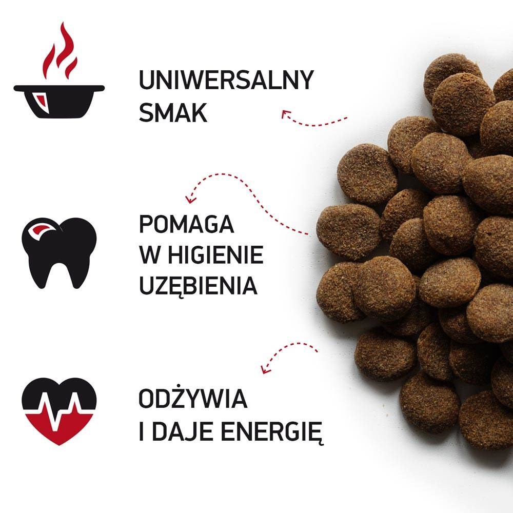 T1H3f8i2k0C0T1n7n29191f2a3R4Y6n4