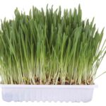 TRIXIE 4235 friandise pour chiens et chats Chat 100 g