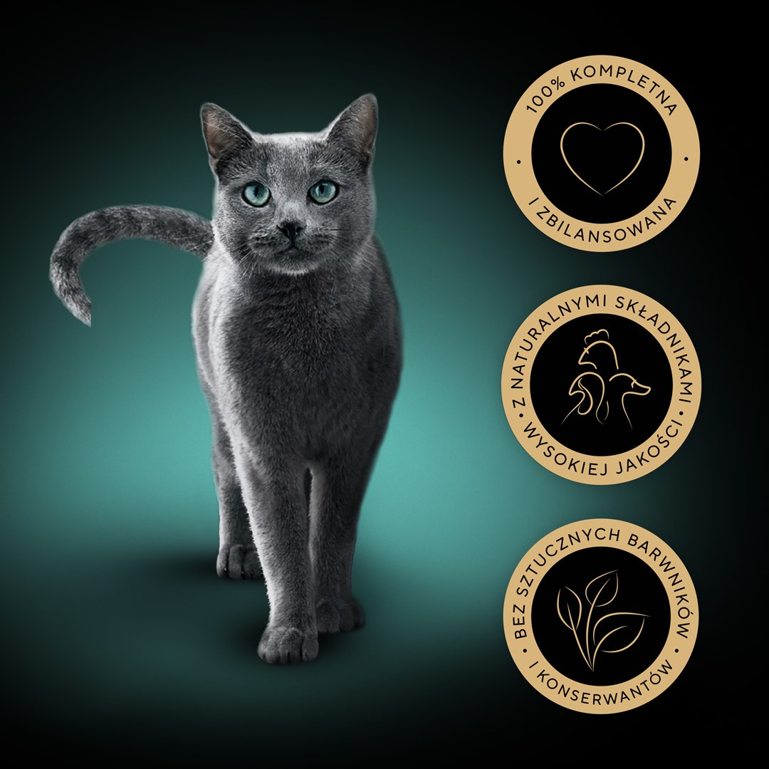 T4D6B9q7l0I0j1W7j2G081k0G0N4x7z2