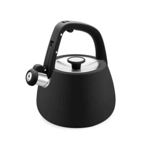 Bouilloire Maestro MR-1318-BLACK Noir