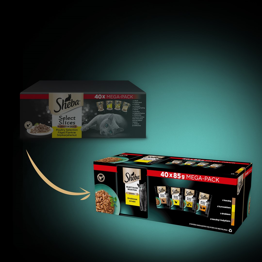 U1A4m6C5n0Y0n1J7L2D0u1o0i0d427Q5