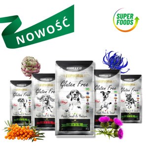 U5H0X8Z8b0R0D1A702K1h251X1E8r039